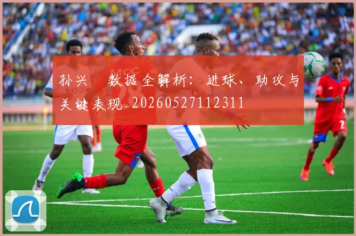 孙兴慜数据全解析：进球、助攻与关键表现_20260527112311