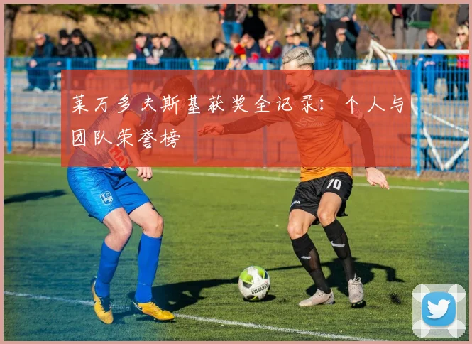 莱万多夫斯基获奖全记录:个人与团队荣誉榜